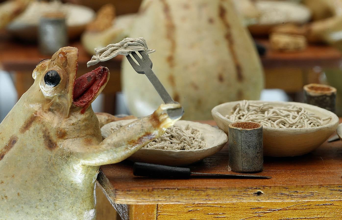 Fotos Ranas, ¿de museo? El Correo